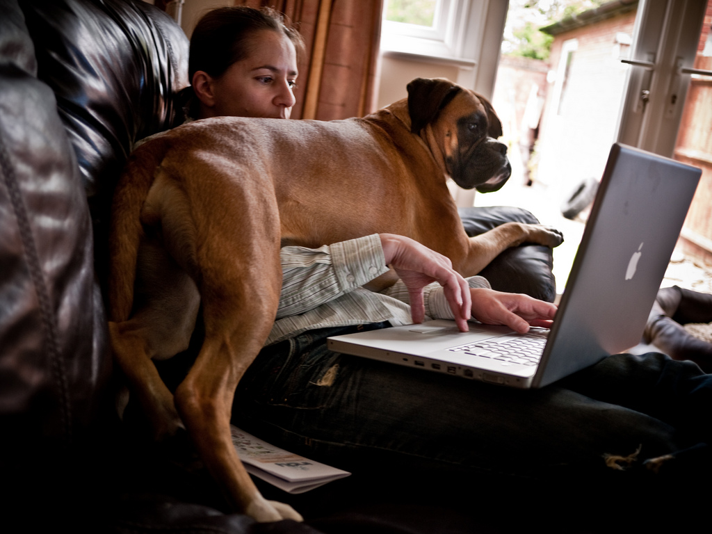 Perro sentado encima del dueño con una laptop