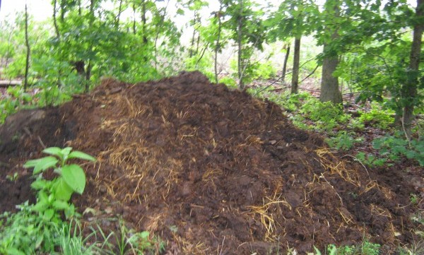 compost-pile-sunk-two-feet-this-week-e1425559981283