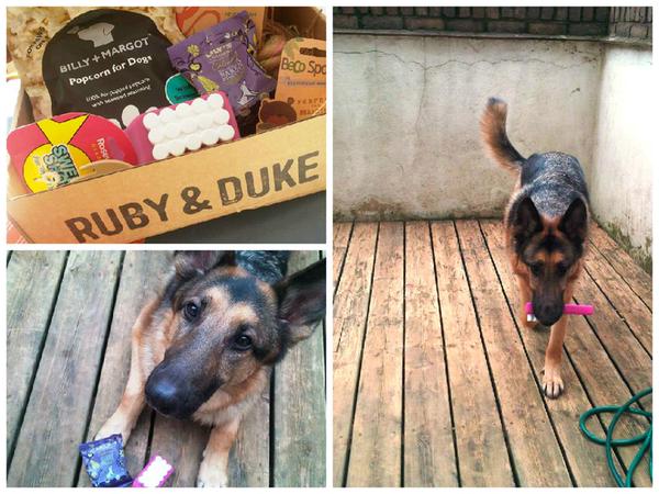Ruby & Duke Subrscription box with a German Shepherd dog