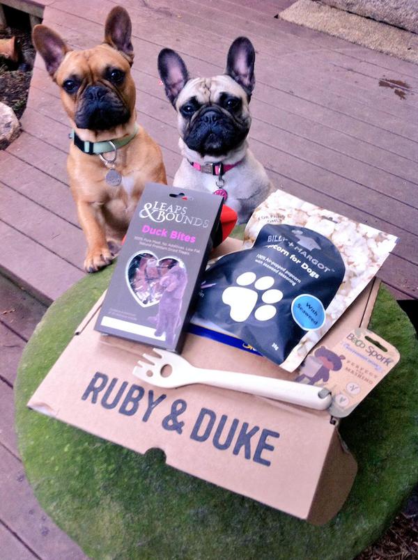 Two French Bulldogs with their Ruby & Duke open subscription box