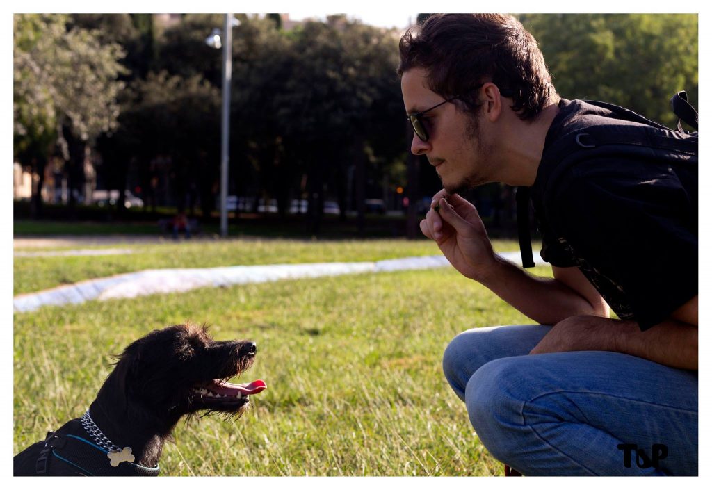 Foto de mestizo adoptado con su dueño en un parque en Barcelona, España.