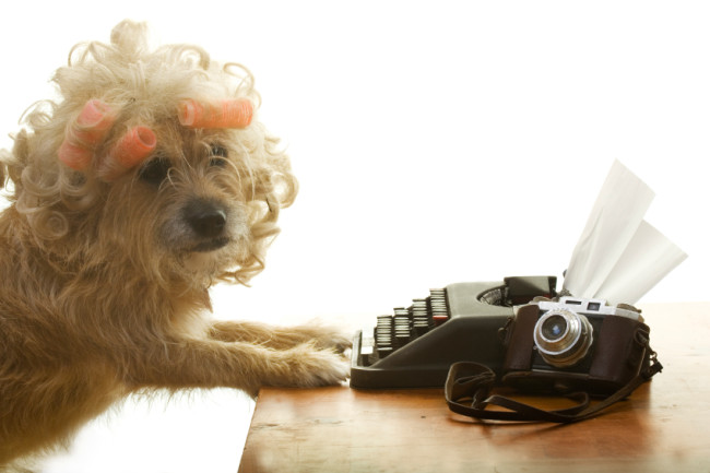 cane scrive a macchina per migliorare il marketing del suo business