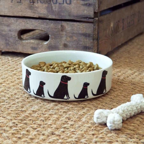 Favourite Dog Bowl treats and toy to help find a missing dog