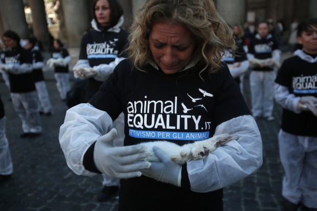 DogBuddy intervista Animal Equality durante una movimento ragazza con capelli biondi e maglietta nera guarda triste un coniglio con altre persone nello sfondo