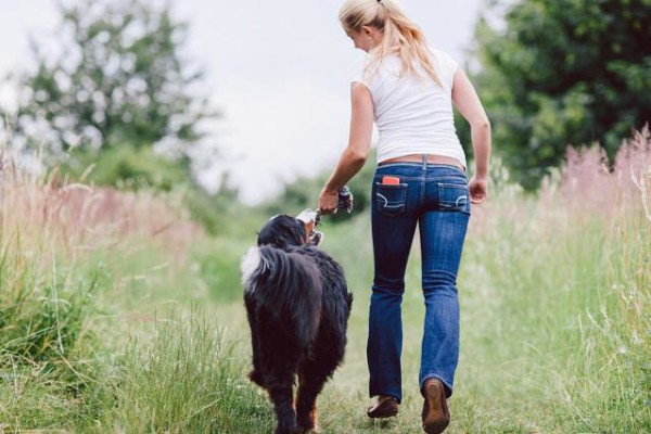 buon dog sitter ragazza con capelli biondi jeans e maglietta bianca cammina in campagna co n un cane dal pelo nero e bianco 