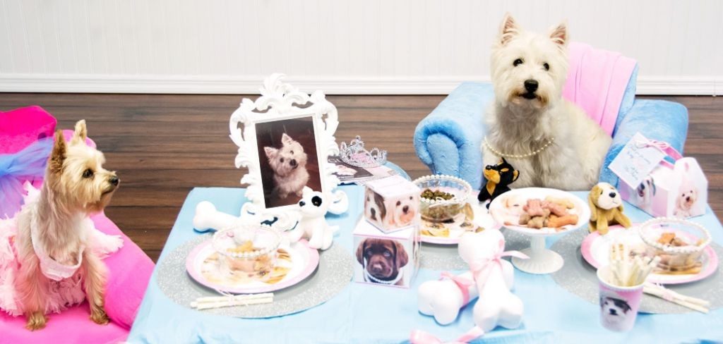celebrar el cumple de tu perro - dos perros sentados en una mesa con galletas y juguetes