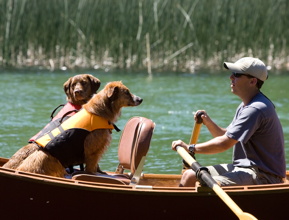 dueño con perros en una canoa