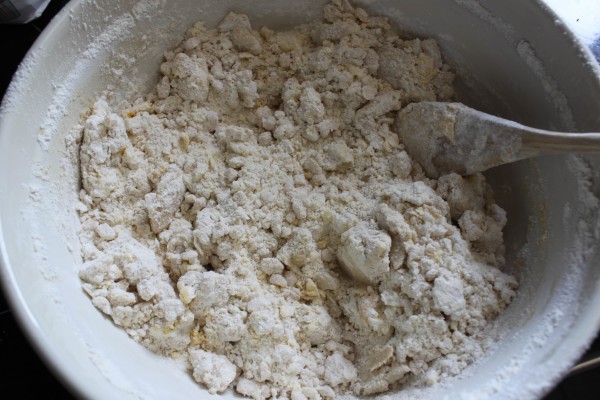impasto di farina in un contenitore bianco per fare ricetta per biscottini per cani 