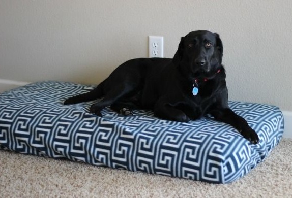 Trucos para facilitar la vida con tu perro - Labrador negro acostado en una cama para perros