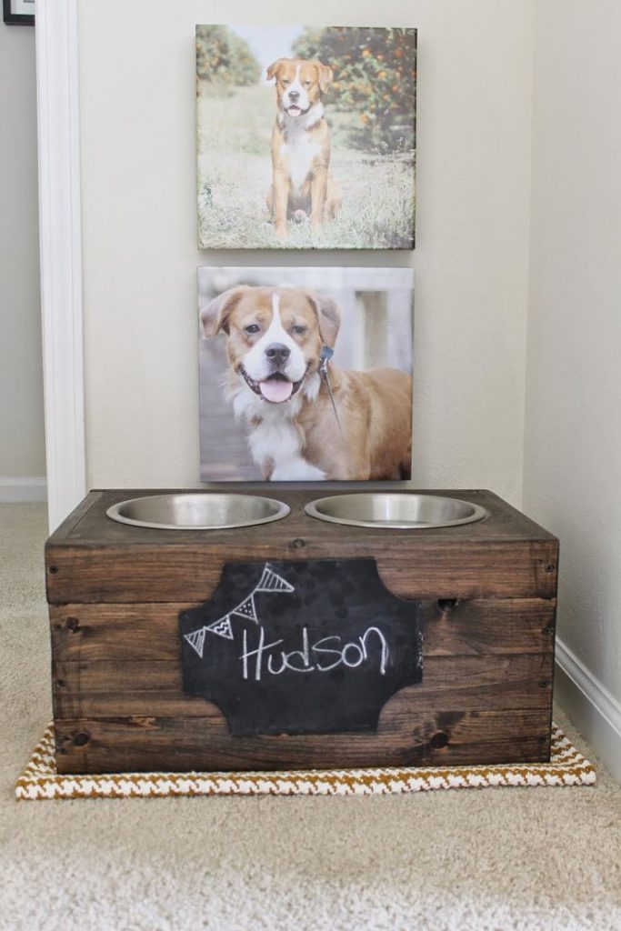 DIY dog bowls: Personalize your dog's feeding station! Source