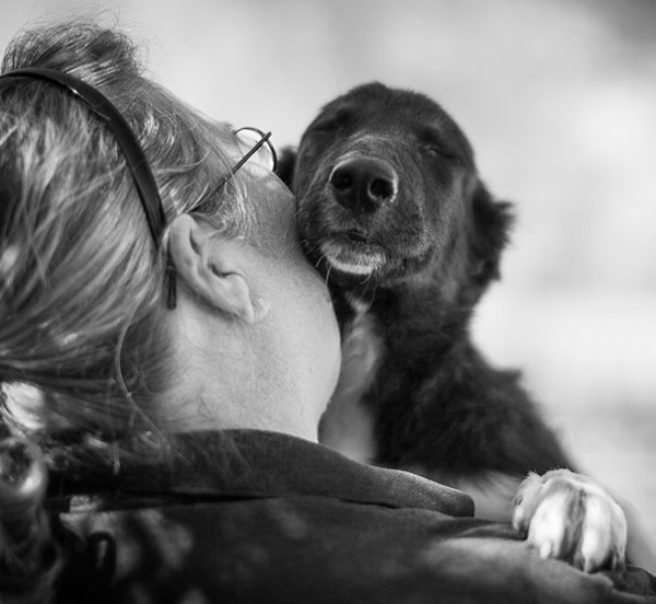 10 razones por las que deberias adoptar un perro - humana dando un beso a su perro