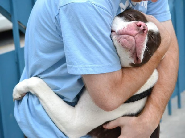 10 razones por las que deberias adoptar un perro - perro abrazando a su humano