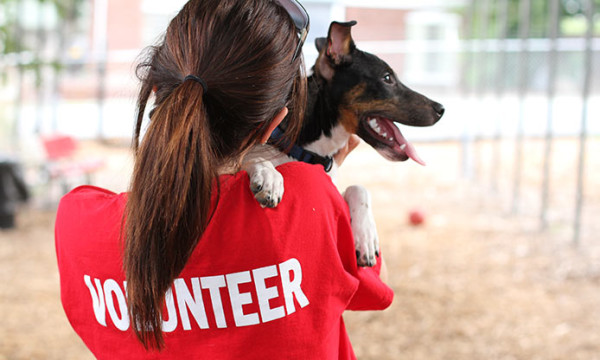 cane salvato con una volontaria in un canile