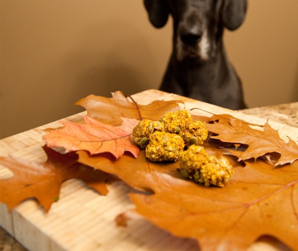 chuches de otoño para perros con calabaza y canela 