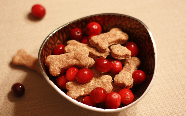 galletas para perros de otoño