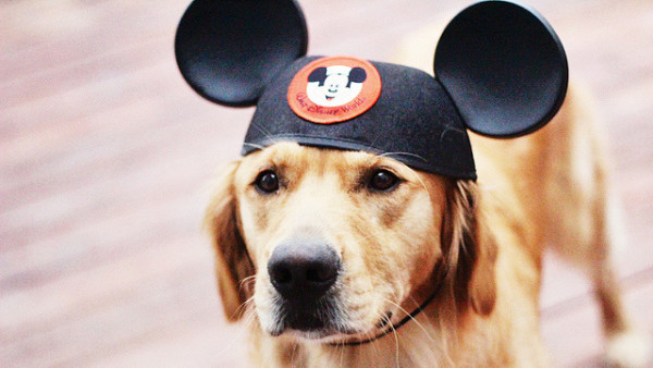 Quiz: Which Disney Dog Is Your Best Friend?
