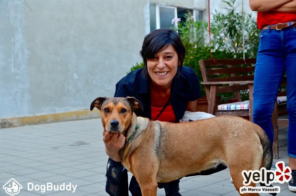 evento dogbuddy con sandra dog sitter e sofi