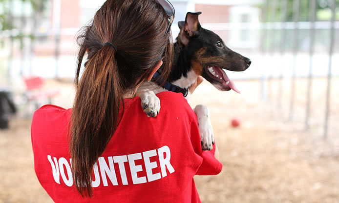 Volontaire refuge embrasse chien adoption