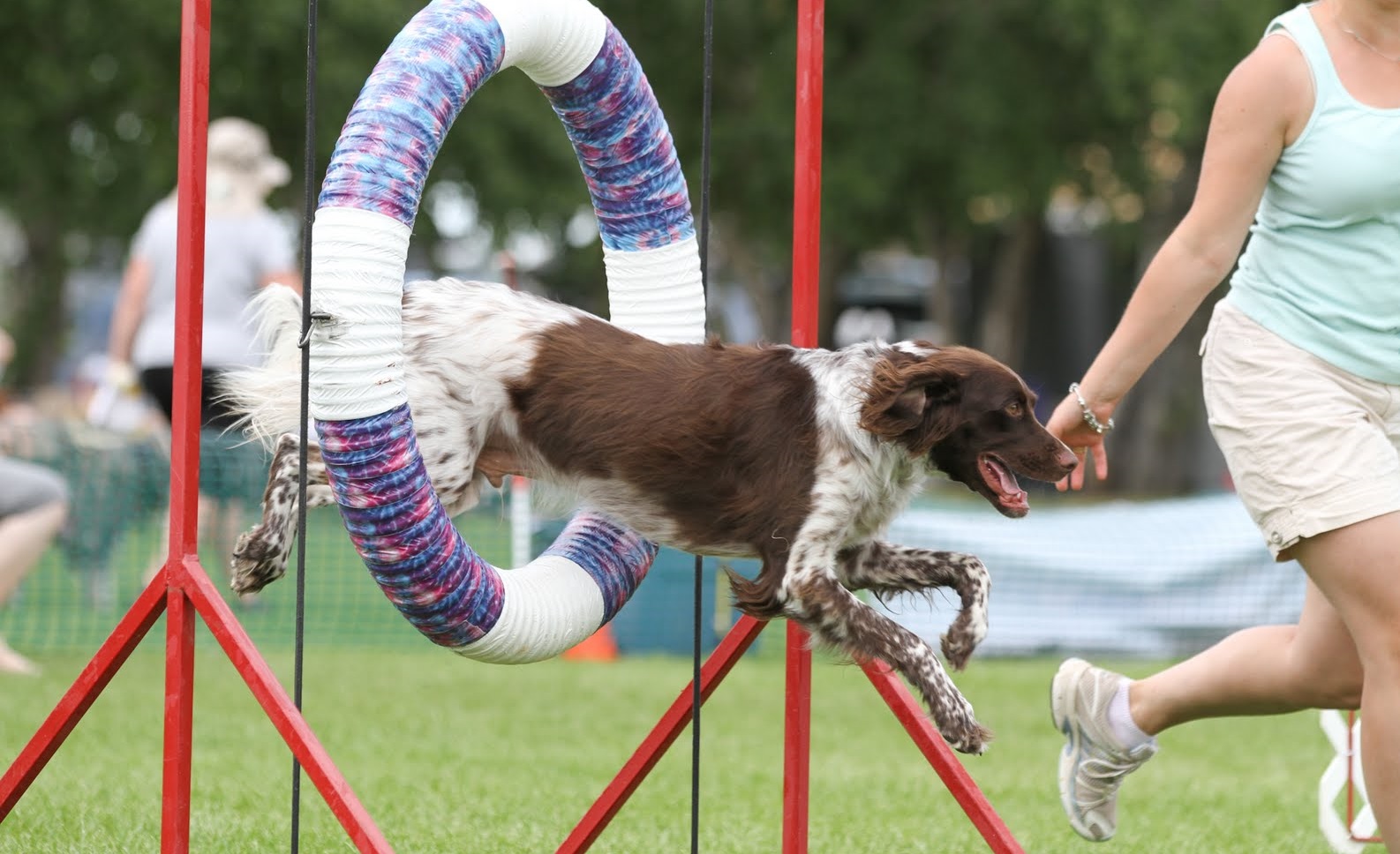 Spass mit ihrem Hund statt leiden im Fitnessstudio! DogBuddy Blog
