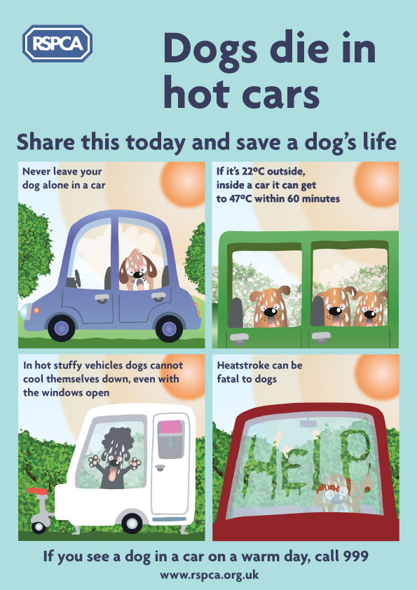 RSPCA dogs die in parked cars