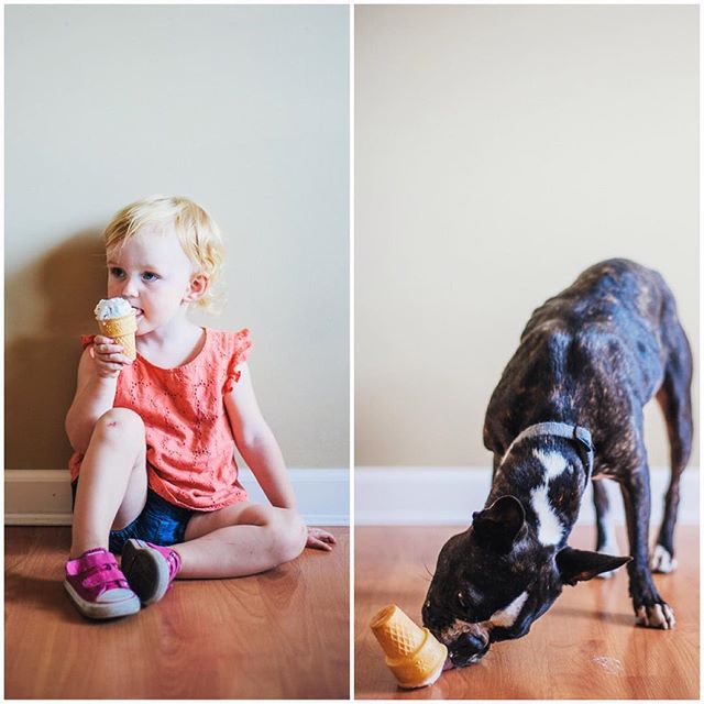 Little girl and her dog eating an ice cream for the instagram 100 days challenge French Bulldog