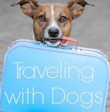 Travelling With Dogs
