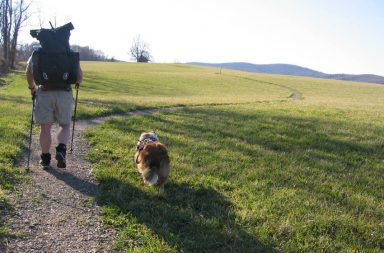 Owner hiking with his dog in a hilly field