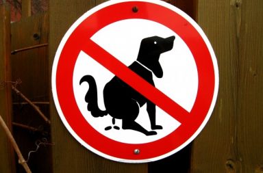 Journal De La Rue No Dog Pooping Sign