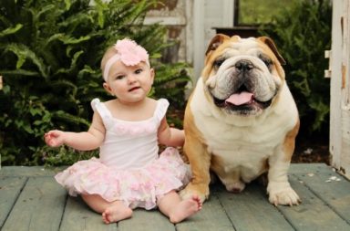 English Bulldog and baby sitting next to each other.