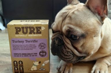 Frenchie lying next to Pure pet food