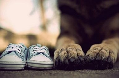 Dog paws next to baby shoes