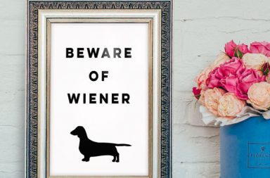 Beware of Weiner picture frame