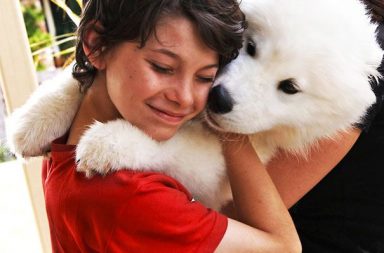 cane con pelo bianco abbraccia un bambino con una maglietta a maniche corte rossa