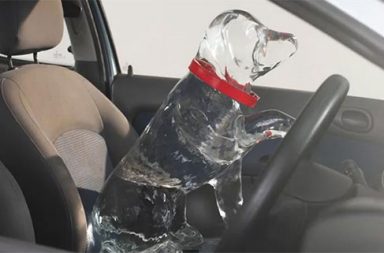 Dogs die from heatstroke in locked cars