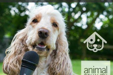 cocker con pelo bianco con un microfono nero per una intervista DogBuddy a Animal Equality