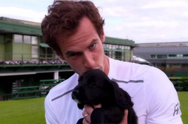 Andy Murray Trainee Sniffer Dog Puppies