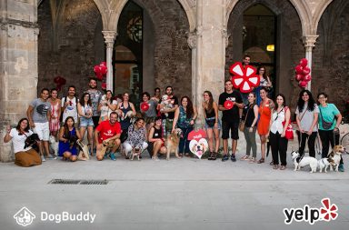 foto de grupo evento encuentra tu canguro favorito con DogBuddy y Yelp