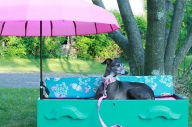 idee fai da te di letto per cane con ombrellone rosa