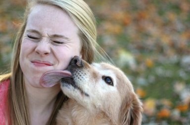 prova del magnetismo canino è il cane che lecca una rgazza bionda sulla faccia