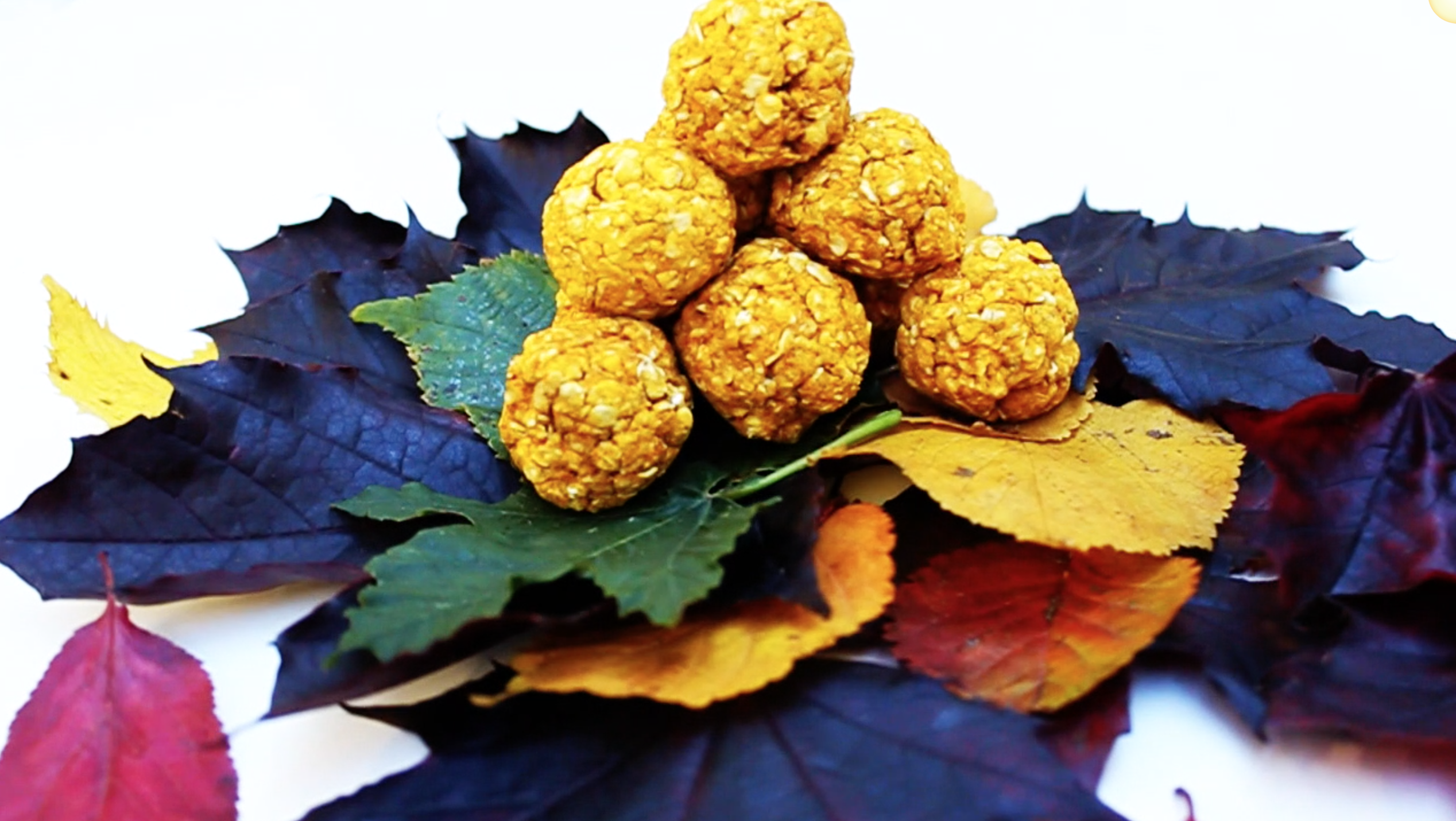 Pumpkin and cinnamon dog treat truffles helping calm dog anxiety in autumn for the dogbuddy blog