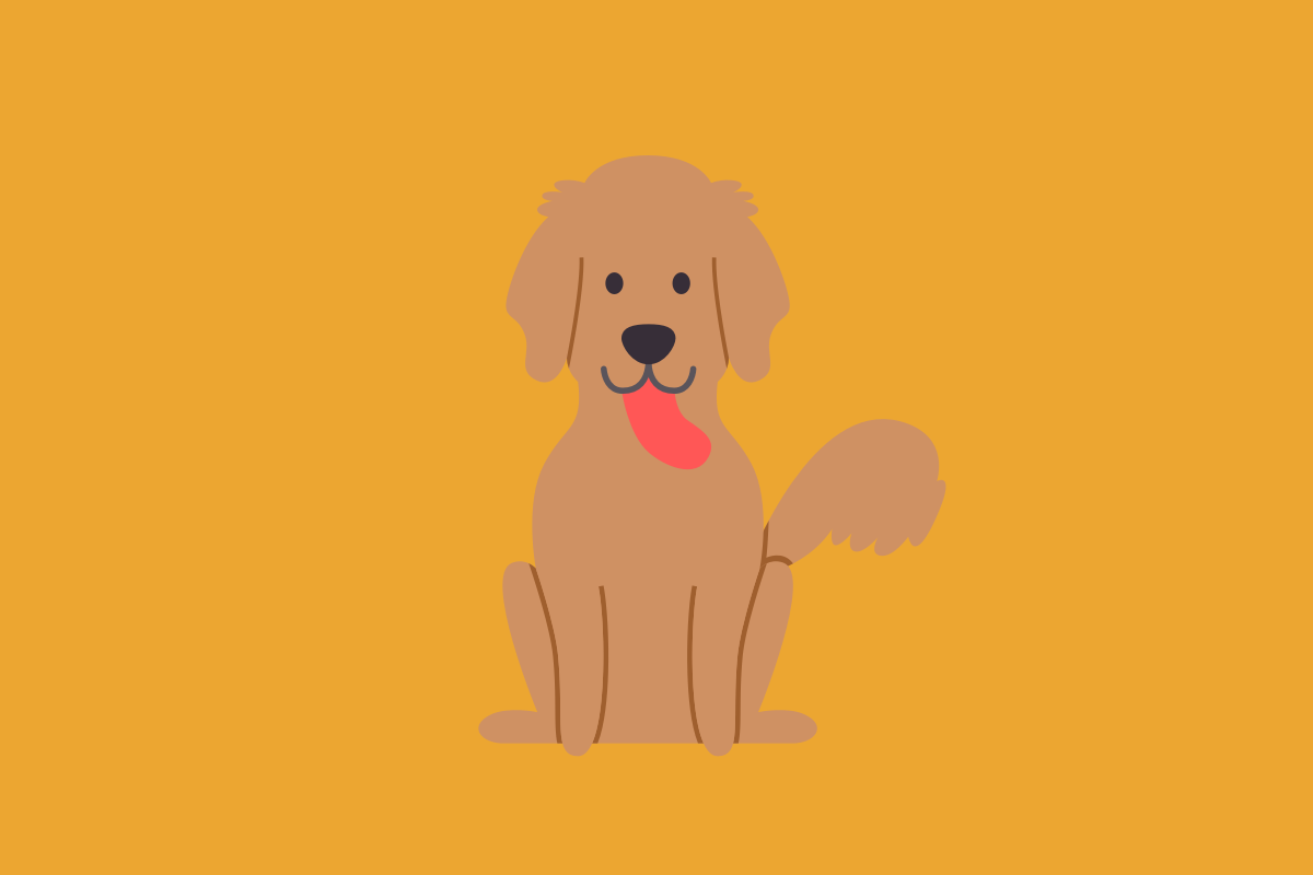 Conoce al golden retriever - DogBuddy Blog