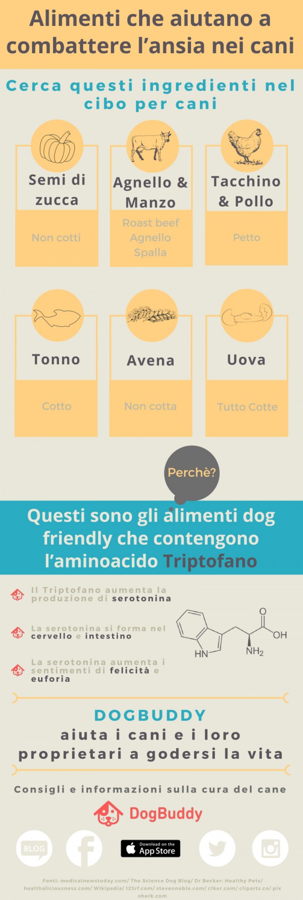 Dogbuddy infographic dog foods IT blog
