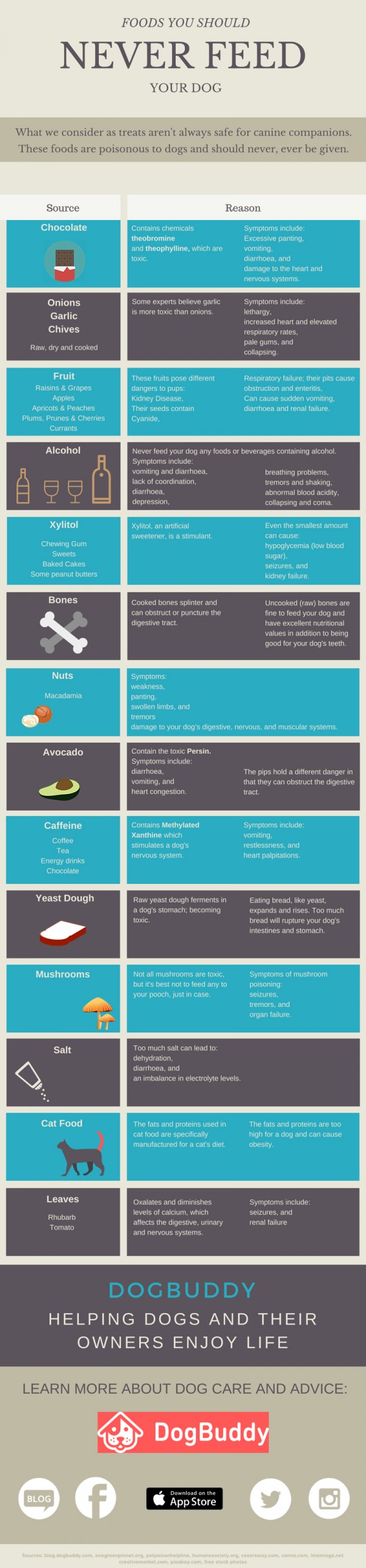 foods you should never feed your dog dogbuddy infographic