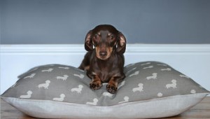 Dog Bed £55.99