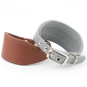 DogBuddy partnership with NotOnTheHighStreet.com grehound whippet leather collar