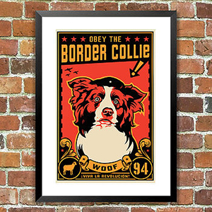 DogBuddy partnership with NotOnTheHighStreet.com border collie print