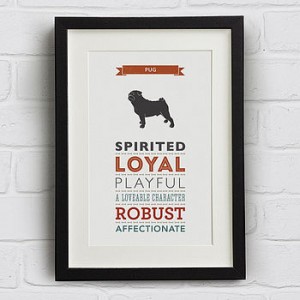 DogBuddy partnership with NotOnTheHighStreet.com pug breed characteristics print