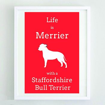 DogBuddy partnership with NotOnTheHighStreet.com Staffordshire Bull Terrier Red Pring