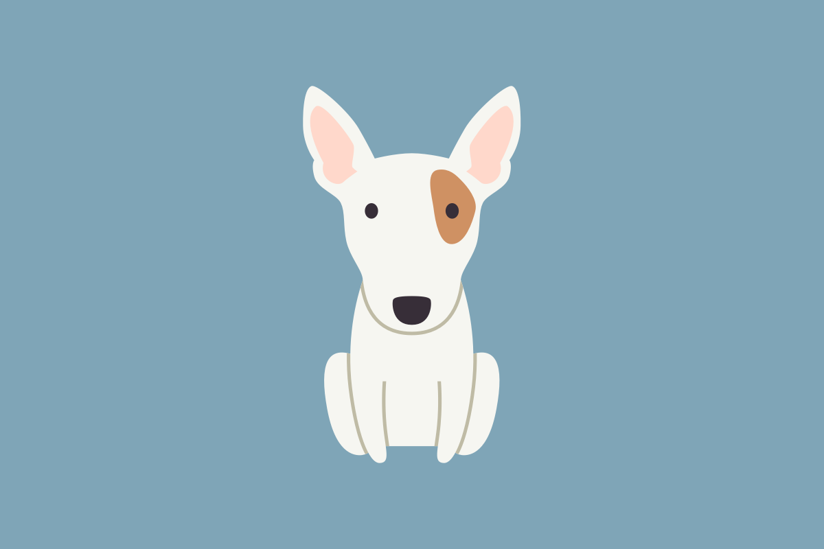 are bull terriers healthy