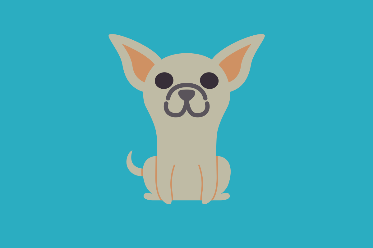 Conoce al Chihuahua - DogBuddy Blog